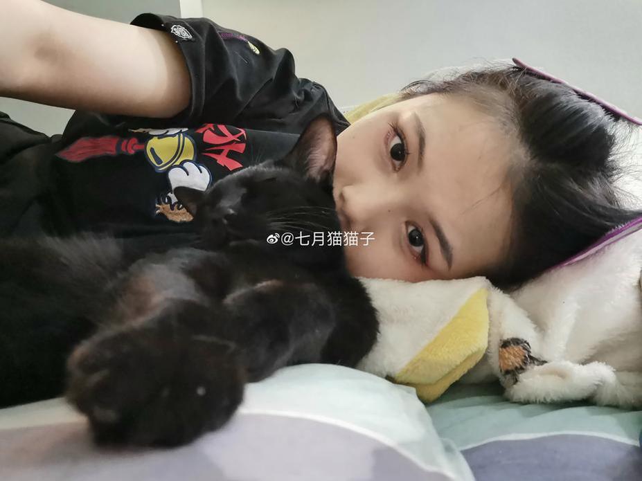 唯美的照片合集，七月猫猫子双手挡腿壁纸原图完美收录